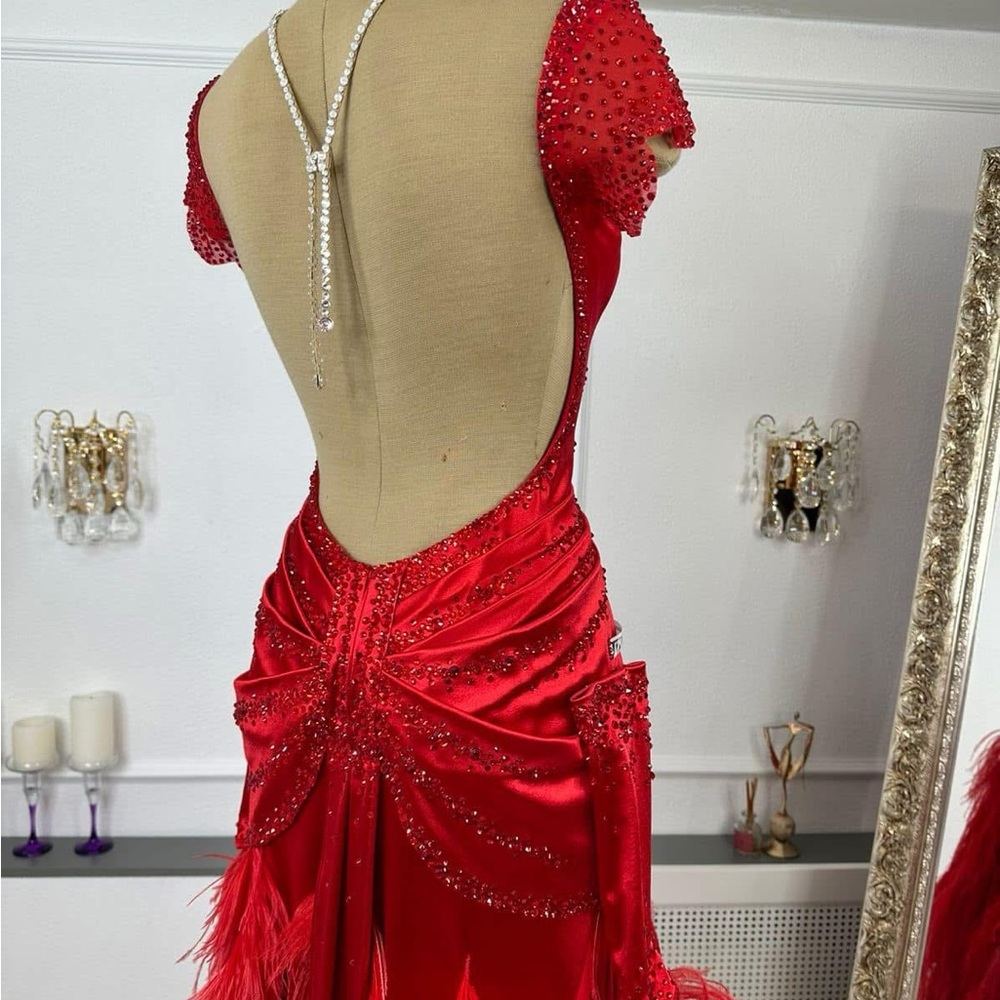 Elegant Red Feathered Ballroom Competition Dress - Picture 2 of 3
